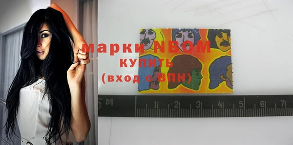 мяу мяу мука Инта