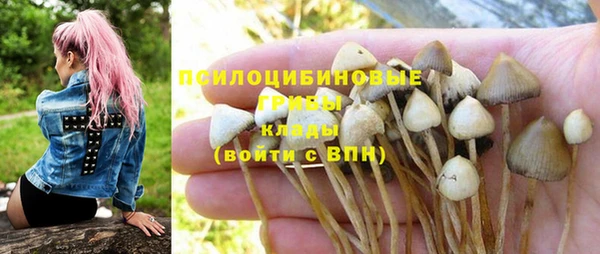 мяу мяу мука Инта